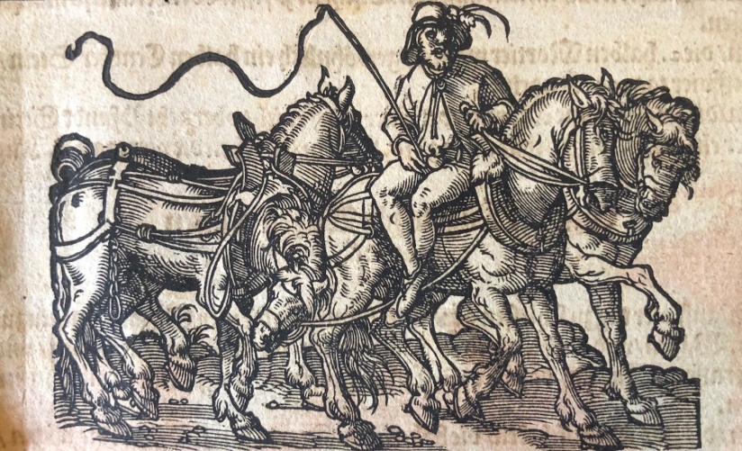 jost_amman_1539_-_1591_fronspergers_kriegsbuch_1573_xylographie_cheval_chevaux
