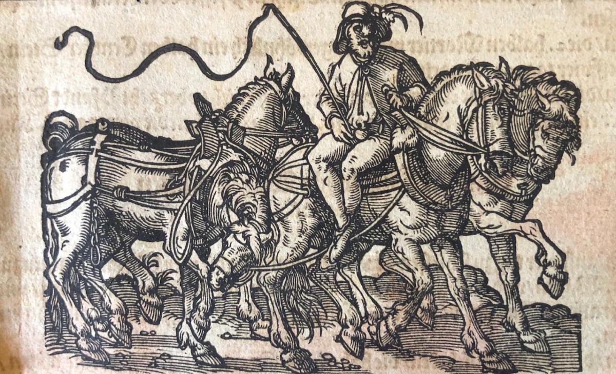 jost_amman_1539_-_1591_fronspergers_kriegsbuch_1573_xylographie_cheval_chevaux