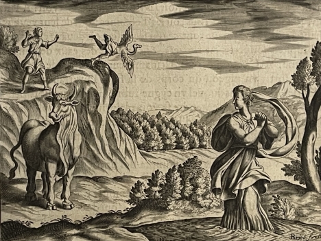 antonio_tempesta_1555-1630_cycnos_et_hyrie_graveur_briot_1619_taureau