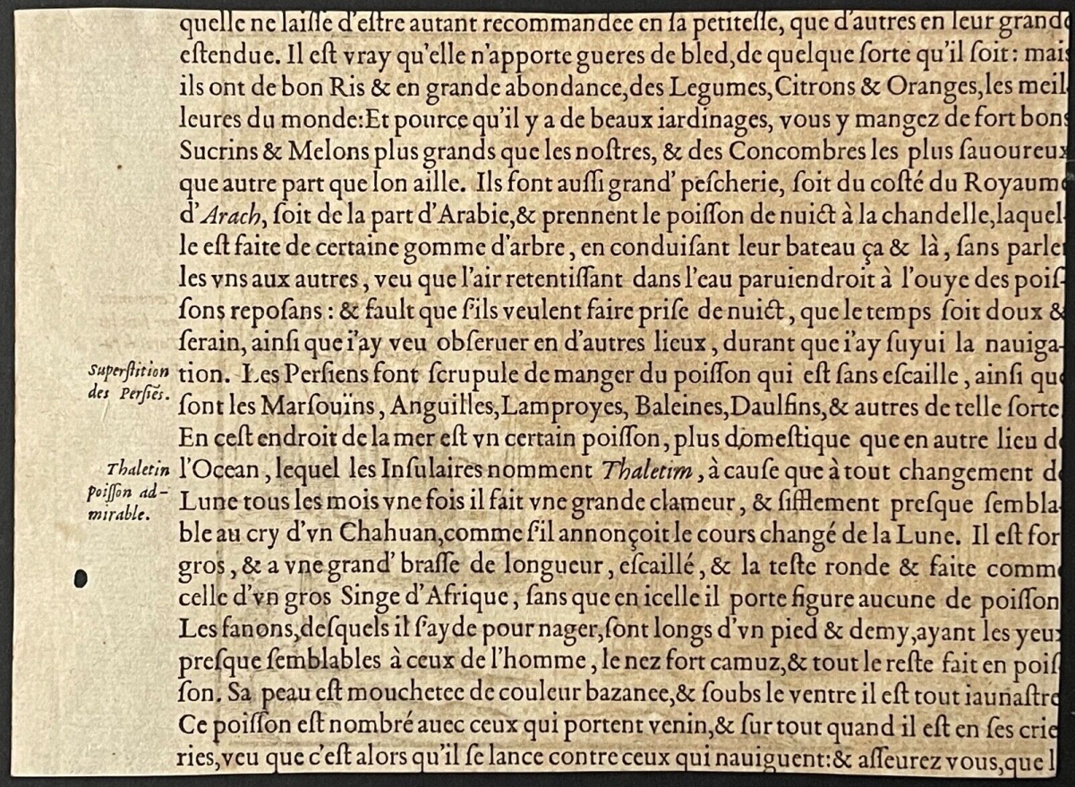 funerailles_en_turquie_par_andre_thevet_1504-1592_gravure_de_1575