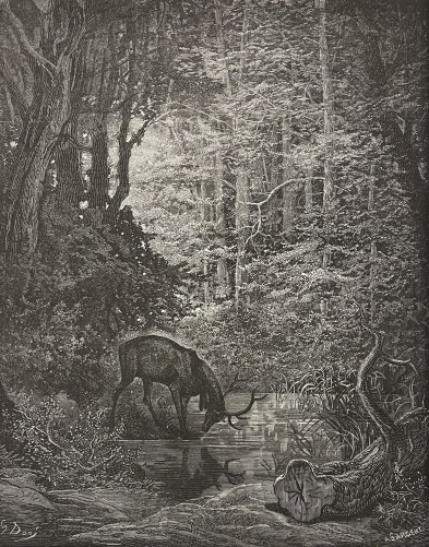 le_cerf_se_voyant_dans_letang_gustave_dore_xylographie_fable_la_fontaine_1868