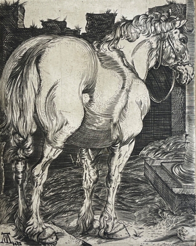albrecht_dürer_le_grand_cheval_1505_gravure_eau_forte_anonyme_xxe