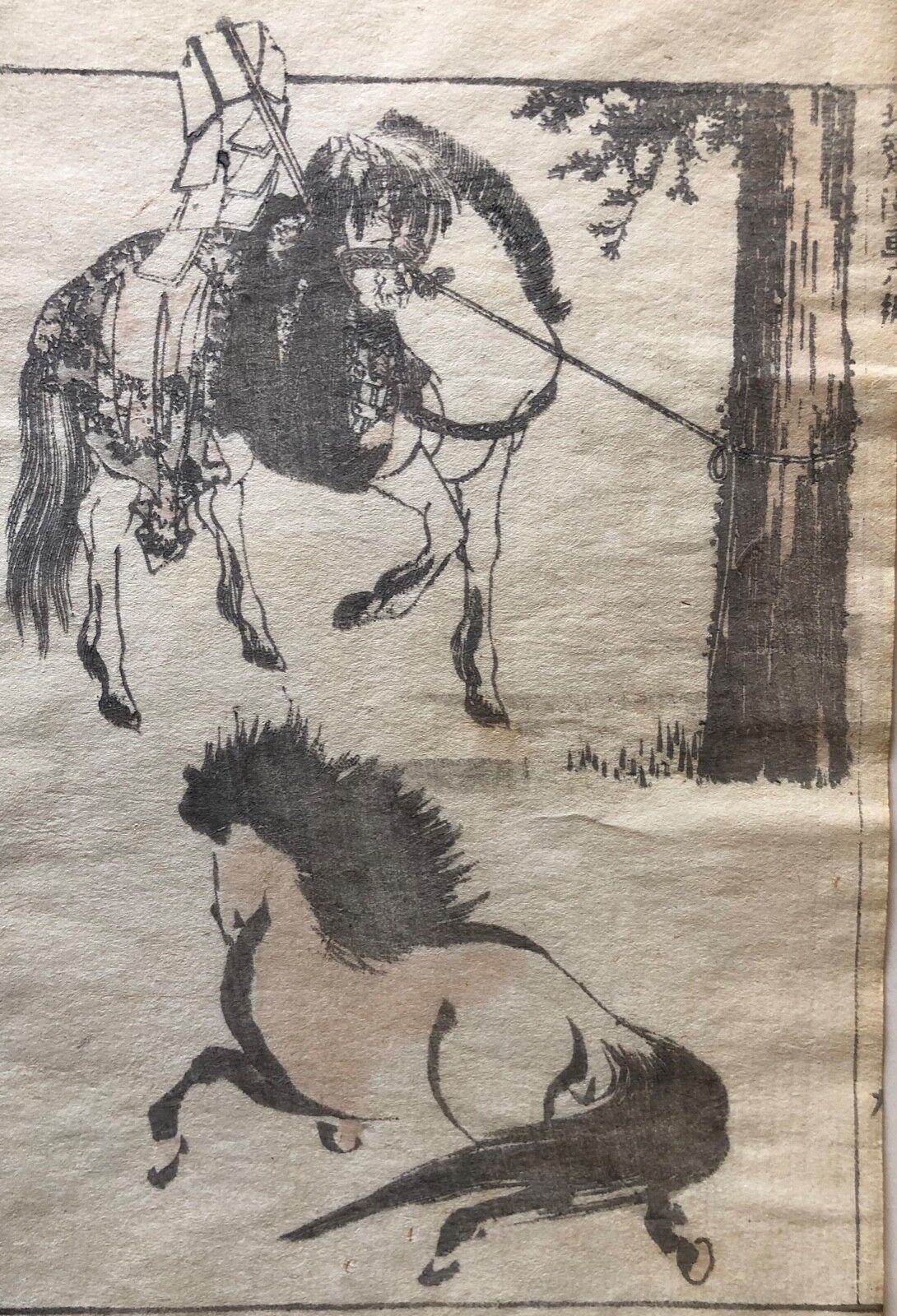 hokusai_1760-1849_japan_estampe_originale_1817_cheval_chevaux__