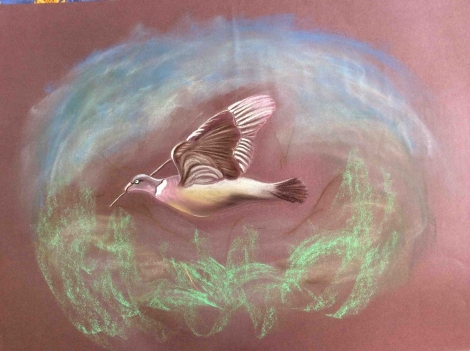 superbe_et_grand_pastel_oiseau_construction_du_nid