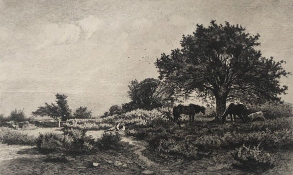 la_lande_de_sainte-anne_camille_bernier_1823_-_1902_gravee_par_g_greux_1878