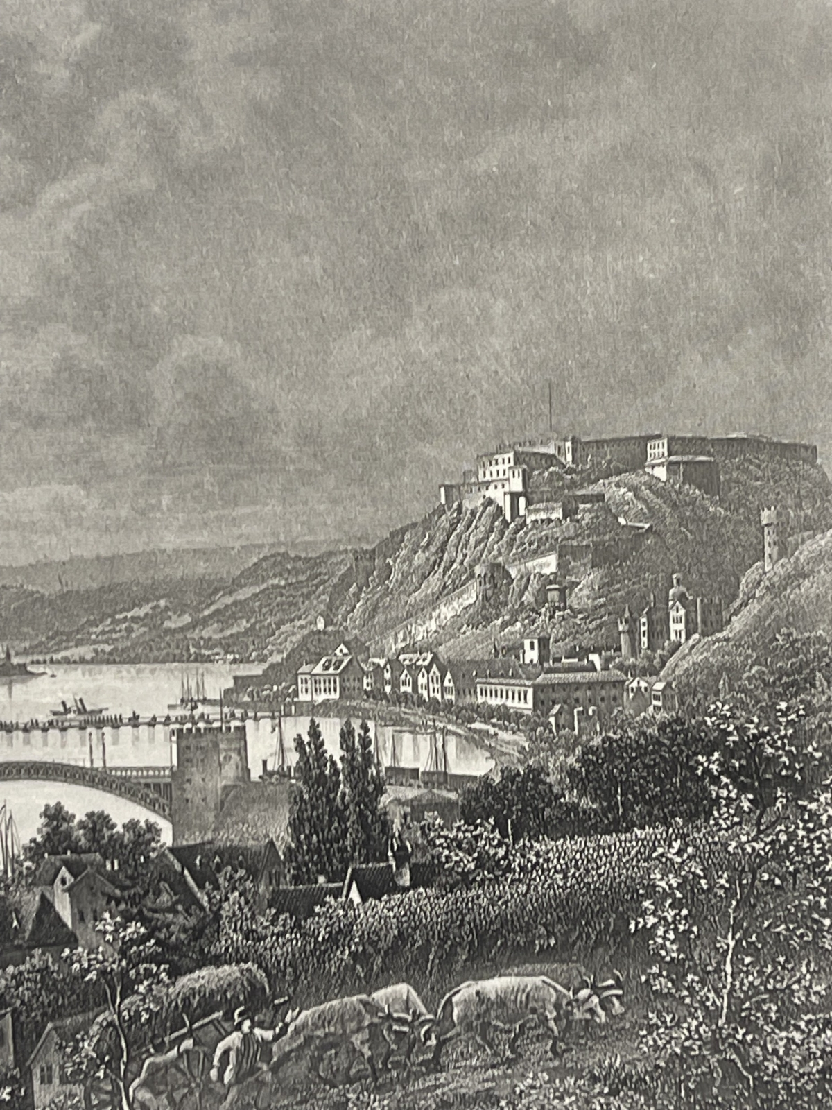 coblenz_et_forteresse_ehrenbreitstein_rhin_gravure_1850_allemagne_engraving