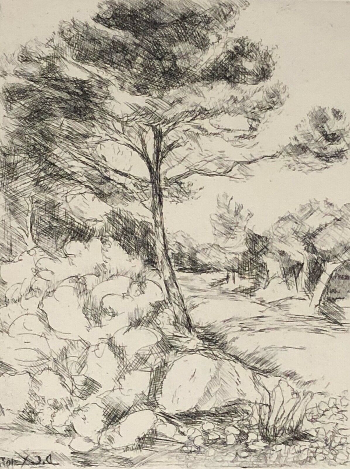 le_pin_paysage_de_provence_pointe_seche_signe_illisible_?_france