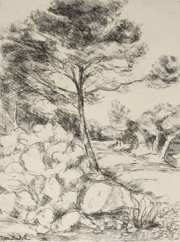 le_pin_paysage_de_provence_pointe_seche_signe_illisible_?_france