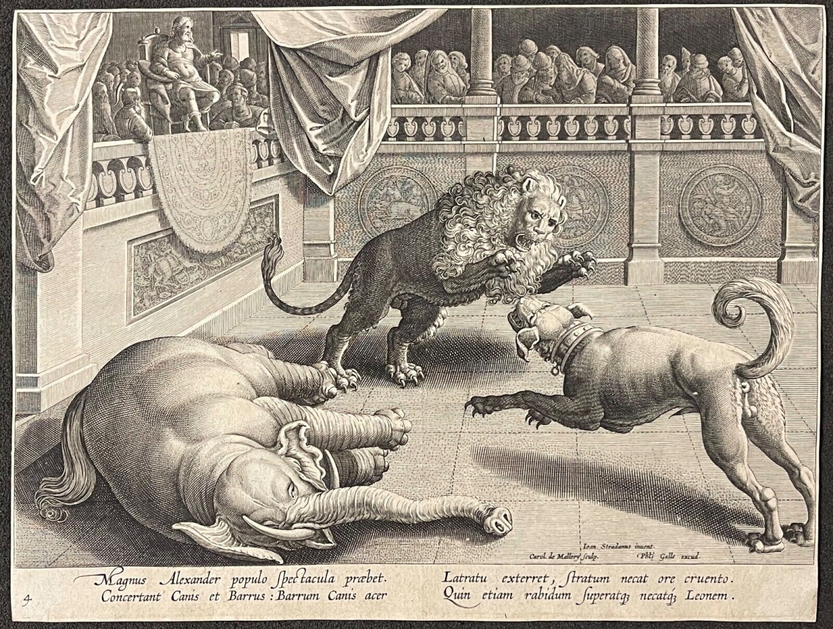 alexandre_combat_elephant_lion_chien_galle_jan_van_der_straet_mallery_circa_1595