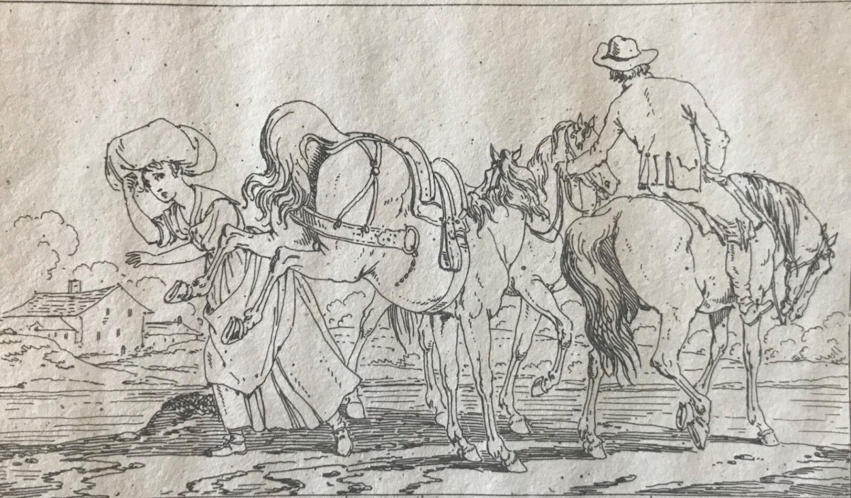 swebach_chevaux_empire_napoleon_1806_eau_forte_cheval_ruade