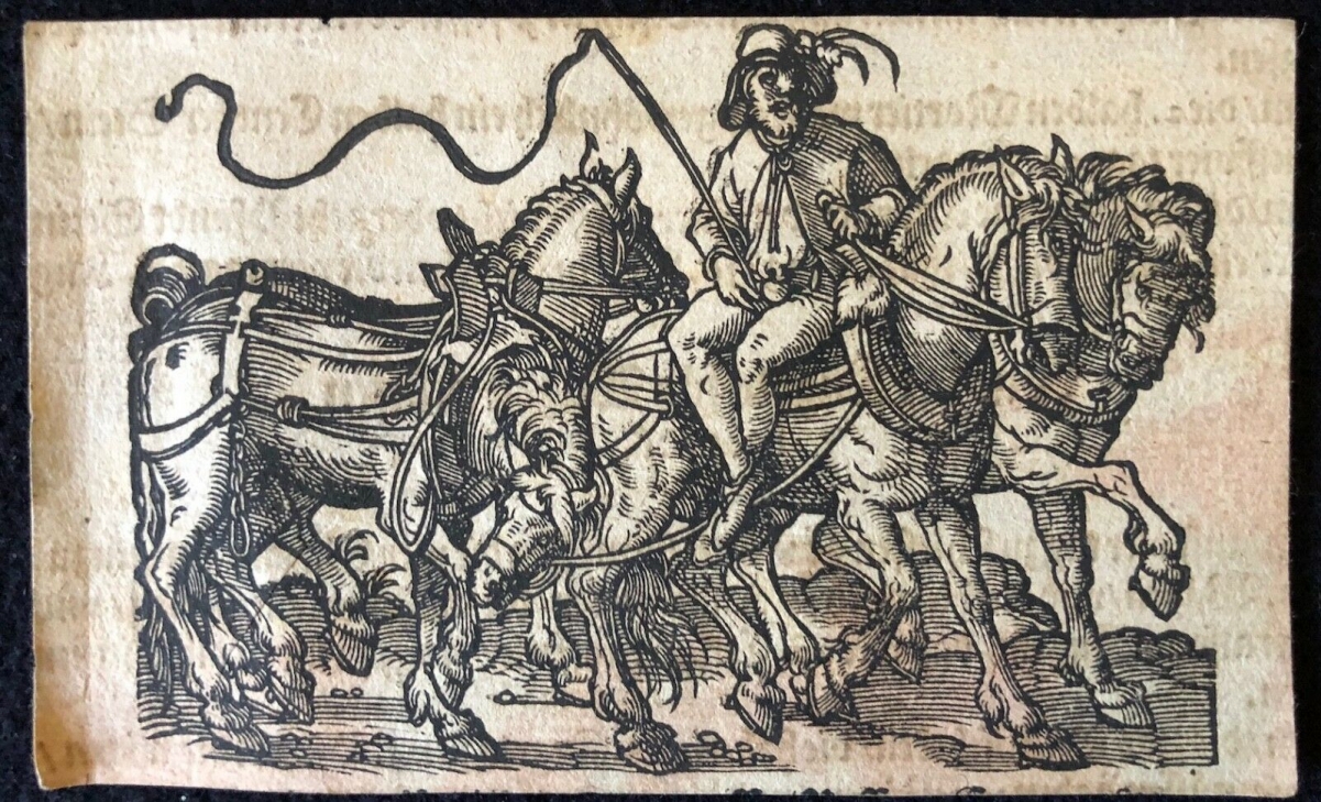 jost_amman_1539_-_1591_fronspergers_kriegsbuch_1573_xylographie_cheval_chevaux