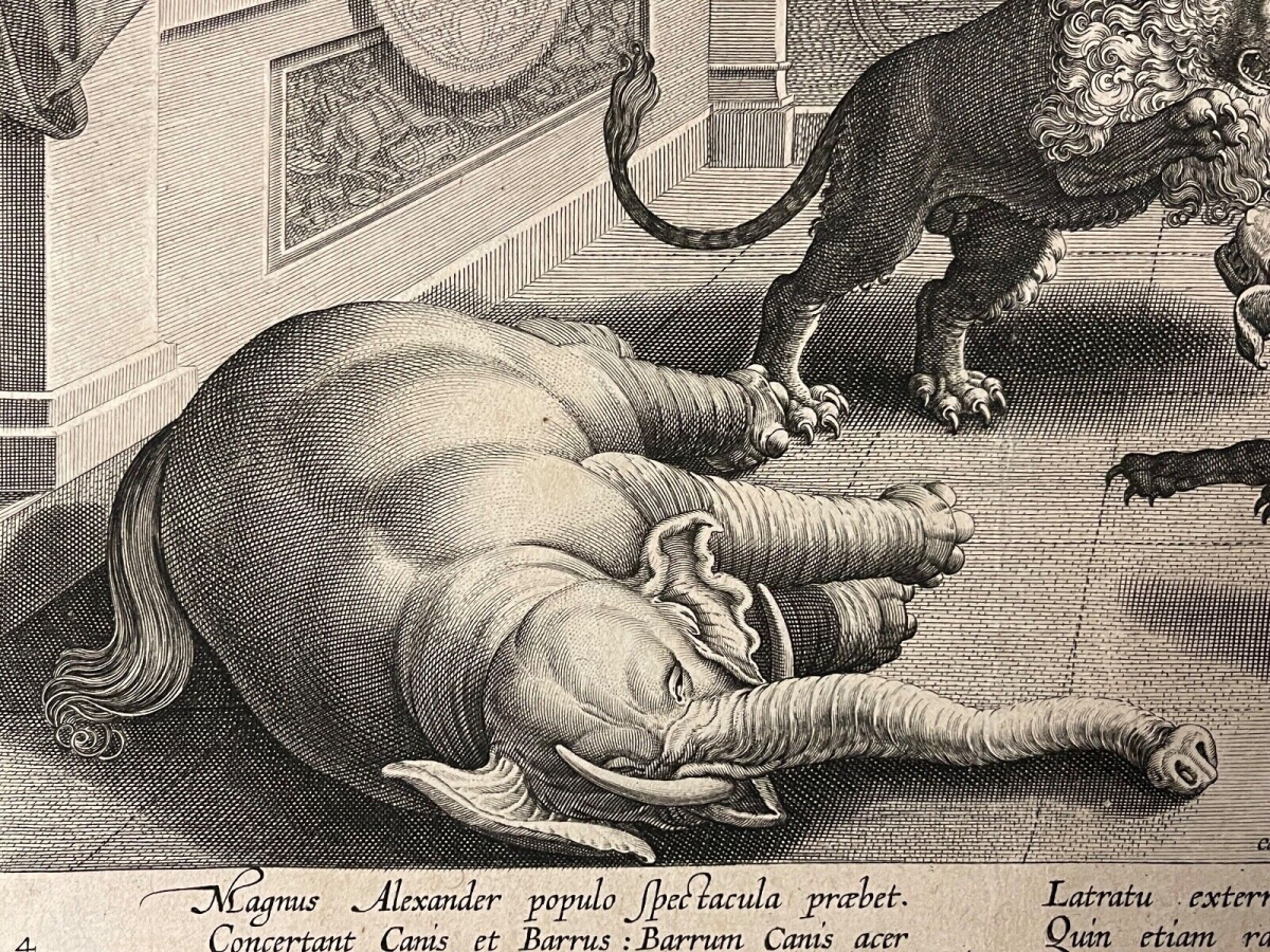 alexandre_combat_elephant_lion_chien_galle_jan_van_der_straet_mallery_circa_1595