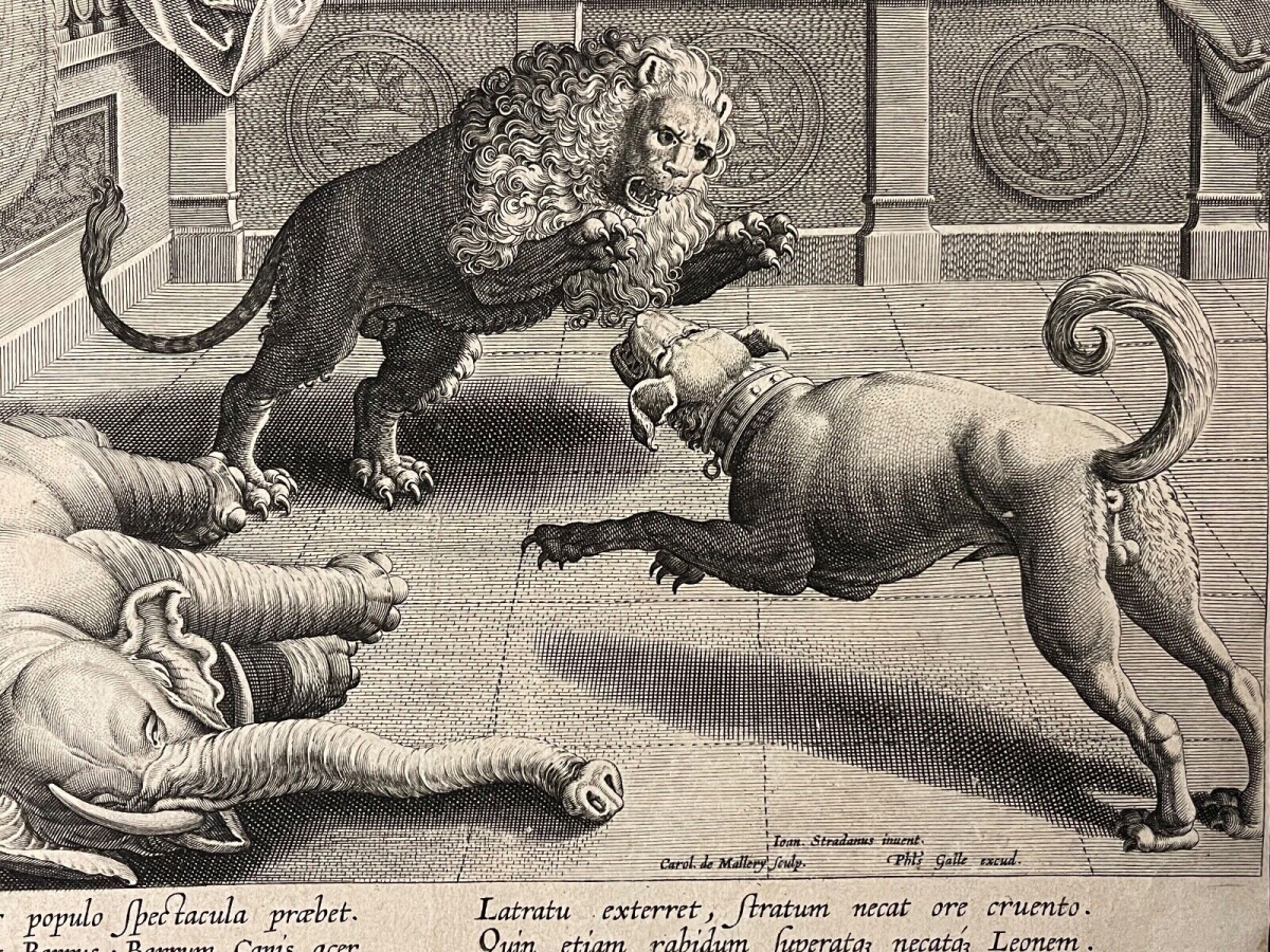 alexandre_combat_elephant_lion_chien_galle_jan_van_der_straet_mallery_circa_1595