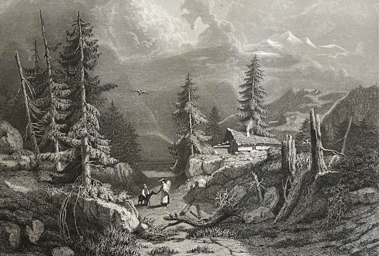 suisse_vue_prise_du_chalet_de_la_handeck_hasli_gravure_de_girardet_vert_1841
