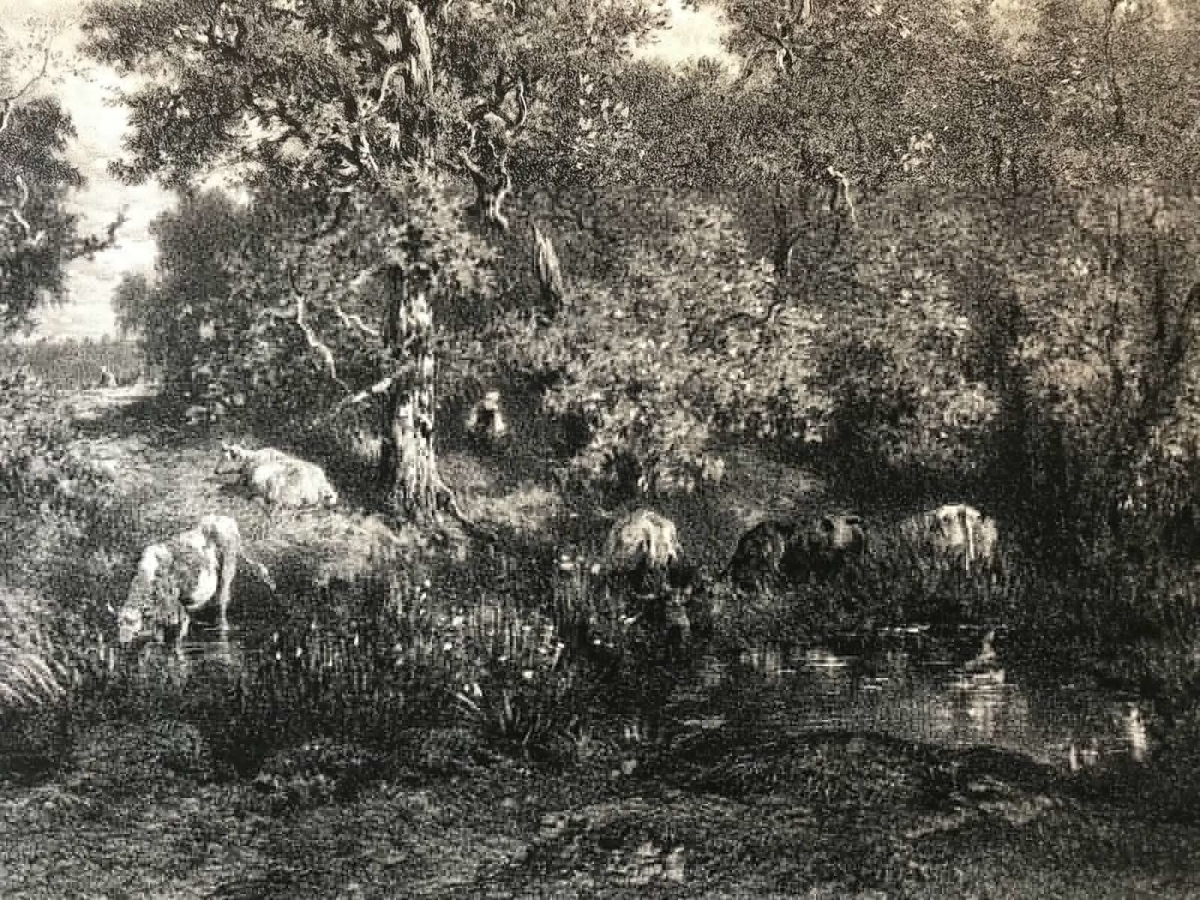 theodore_rousseau_la_mare_gravee_par_j_laurens_circa_1876_barbizon_litographie