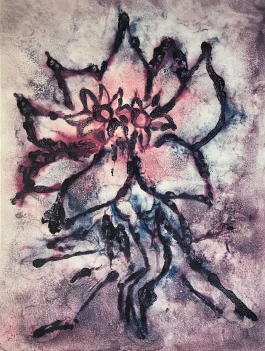 mandragore_fleur_mandragora_officinarum_estampe_de_cortedune_flore