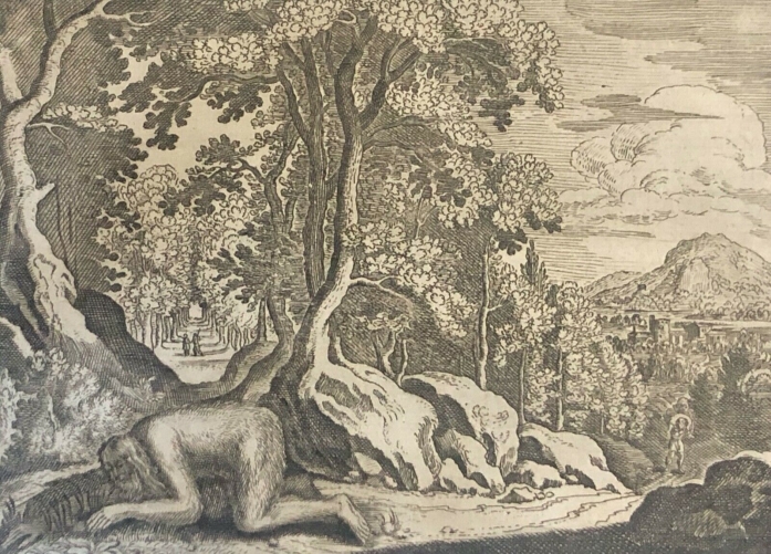 le_roi_nabuchodonosor_change_en_bete_dapres_matthaus_merian_1593-1650_xvii