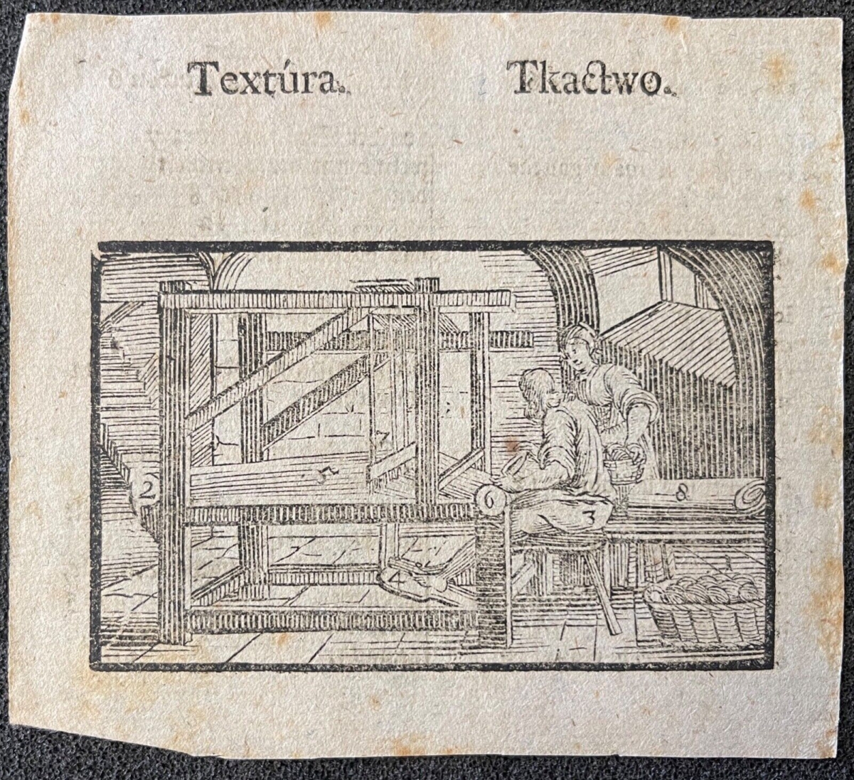 tisserand_tissage_tkactwo_groll_michal_1722-1798_polska_1770_varsovie_pologne