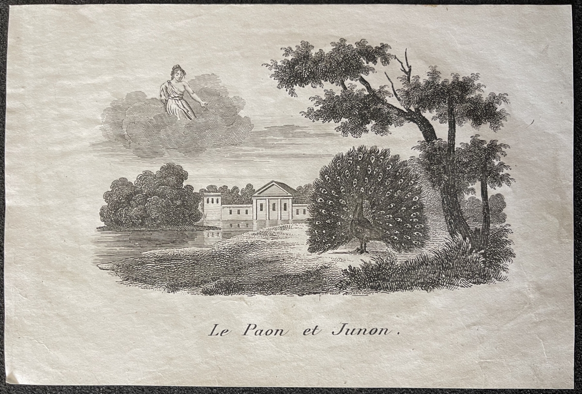 le_paon_et_junon_fable_la_fontaine_tirage_vers_1820