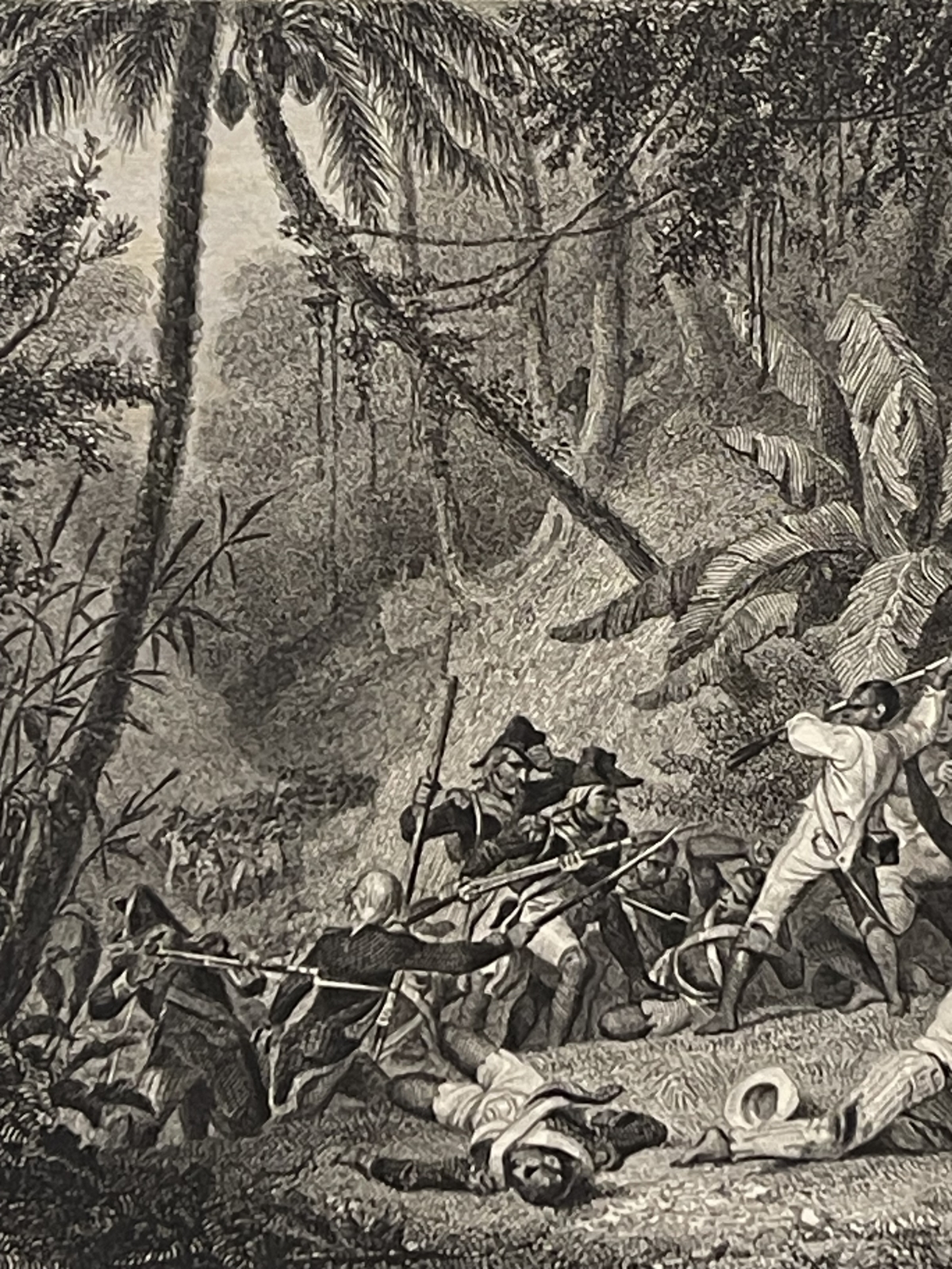 bataille_ravine_1802_a_couleuvres_retablissement_esclavagisme_esclave_1836_haiti