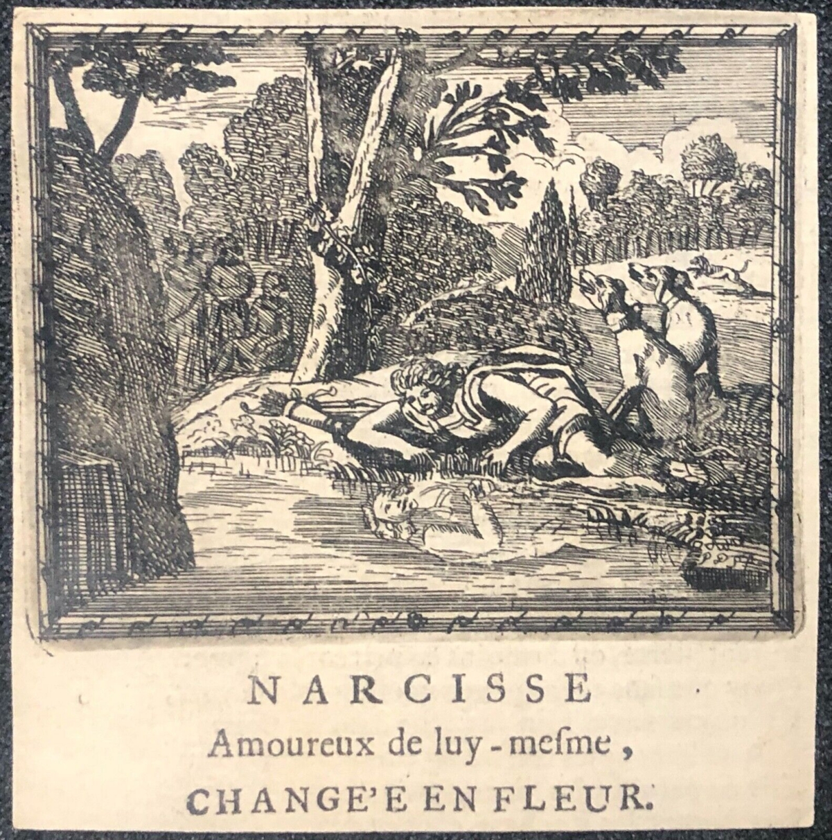 narcisse_amoureux_de_lui-meme_ovide_1697_graveur_franz_ertinger_1640-1710_fleur