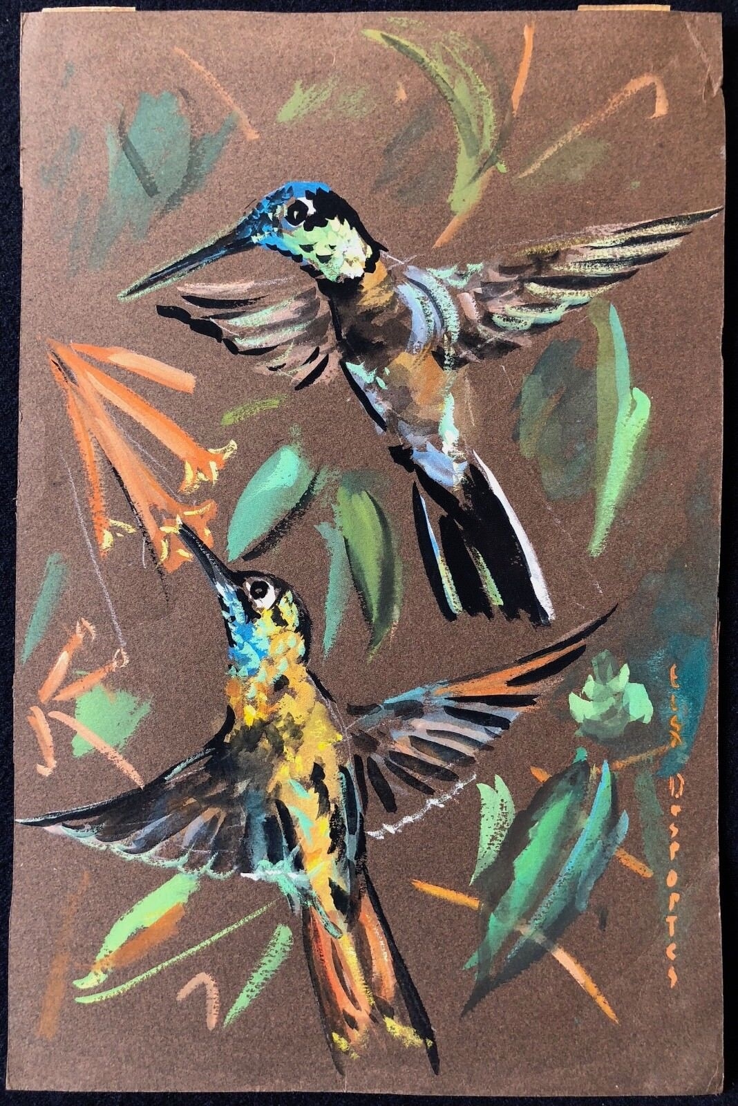 oiseau-mouche_trochilidae_gouache_c_1970_signee_elsa_desportes_animalier