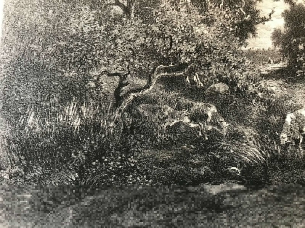 theodore_rousseau_la_mare_gravee_par_j_laurens_circa_1876_barbizon_litographie