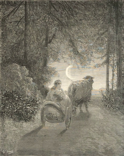 gustave_dore_1862_charles_perrault_peau-dane_estampe_originale
