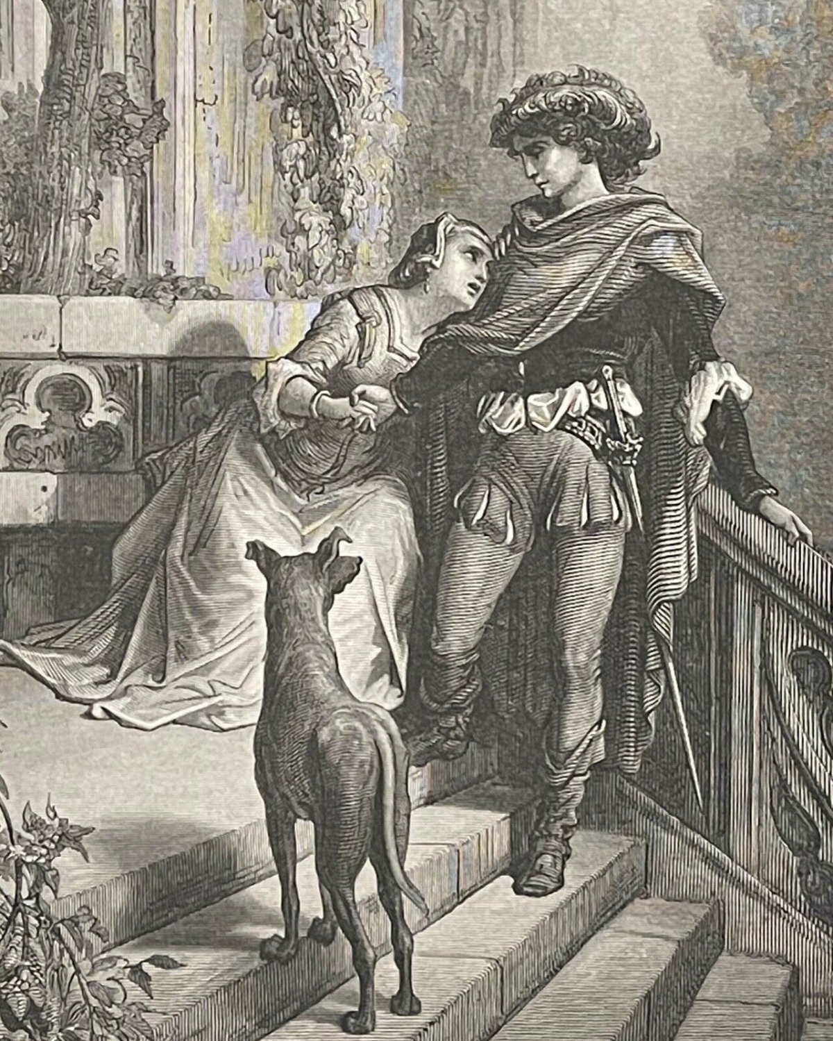 les_deux_pigeons_gustave_dore_xylographie_fable_de_la_fontaine_1868