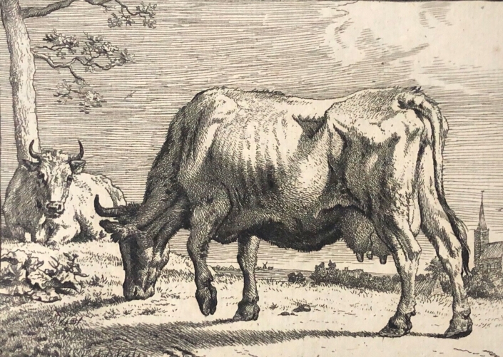 amand_durand_grazende_koe_vache_paulus_potter_1880