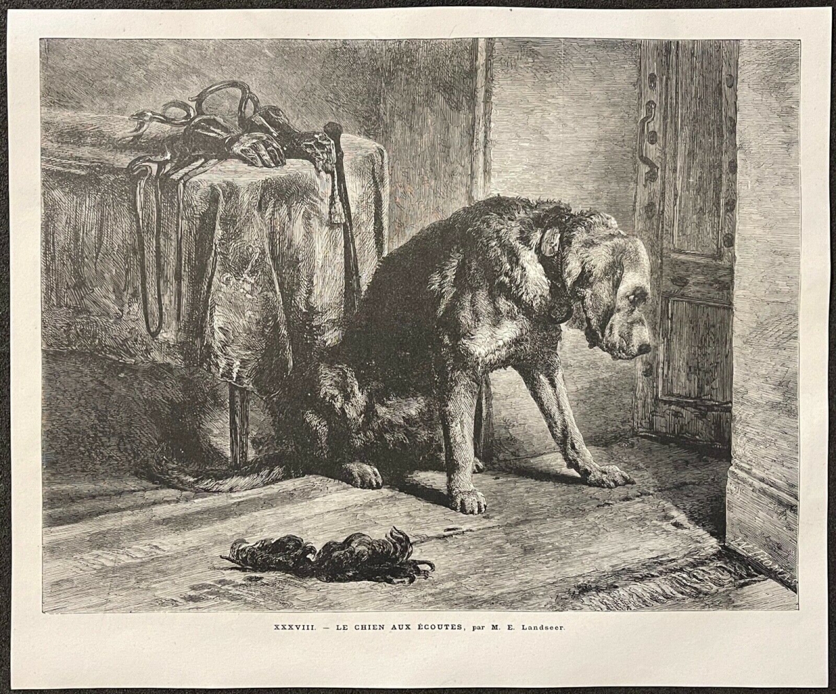 chien_aux_ecoutes_edwin_henry_landseer_1802-1873__gravure_en_xylographie_1861