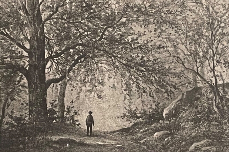 ecole_de_barbizon_pantotypie_thiel_aine_dun_fusain_smith_collection_27_1877