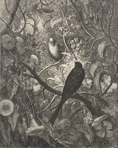 philomele_et_progne_gustave_dore_xylographie_fable_de_la_fontaine_1868_oiseau