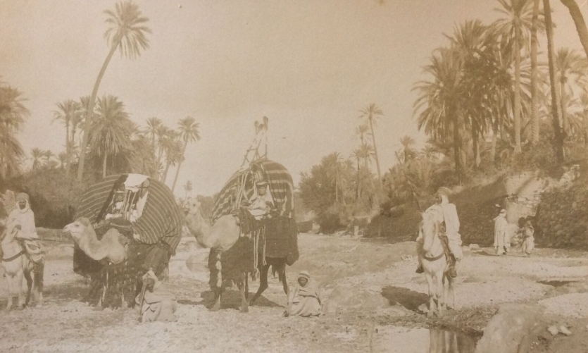 algerie_tirage_albumine_depoque_voyage_1884_26,7cm_x_16,2cm_anonyme_dromadaires