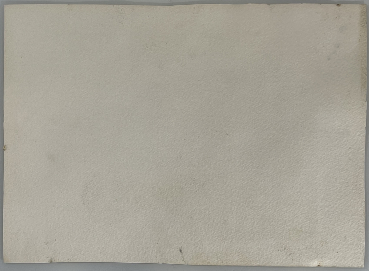 camargue_aquarelle_taureau_et_vaches_signee_jourdan_vers_1990_provence_france
