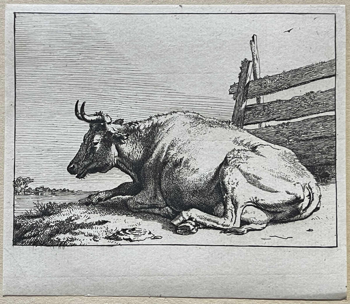 paulus_potter_1625-1654_vache_couchee_1650_amand_durand_c_1880