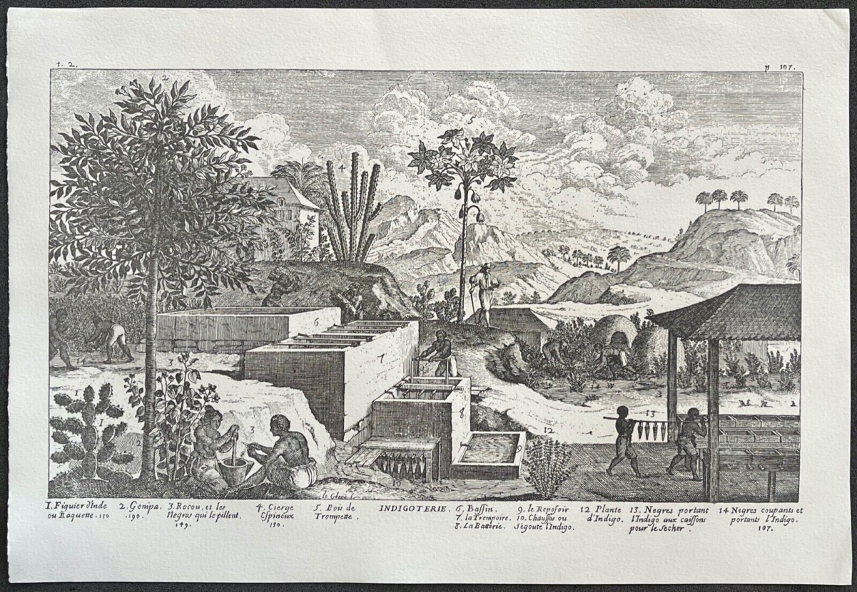 esclave_afrique_commerce_triangulaire_antilles_1667_indigo_retirage_vers_1930