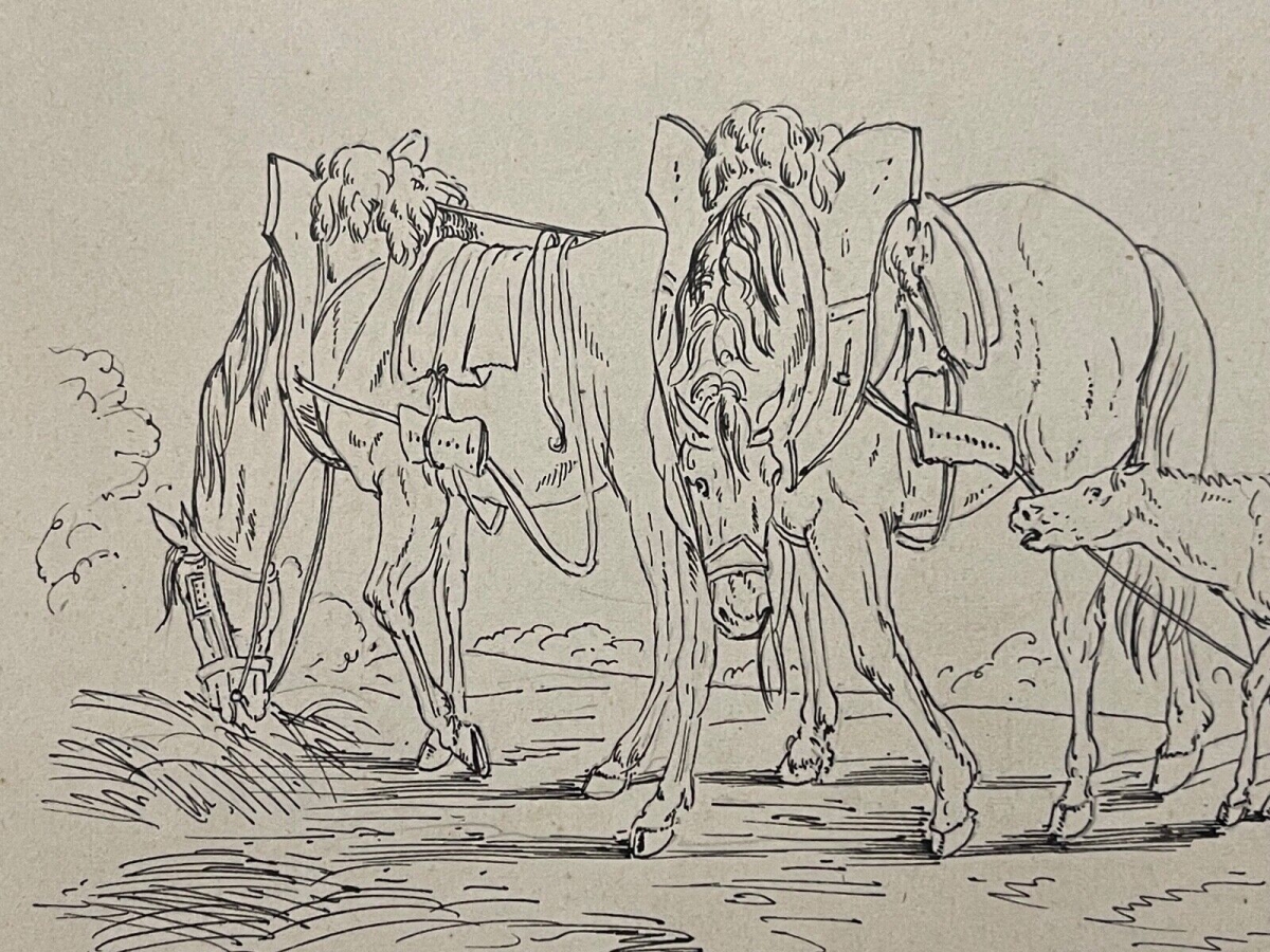 palfrenier_armee_napoleon_dessin_encre_antony_hottot_1865-1914_c_1885_cheval