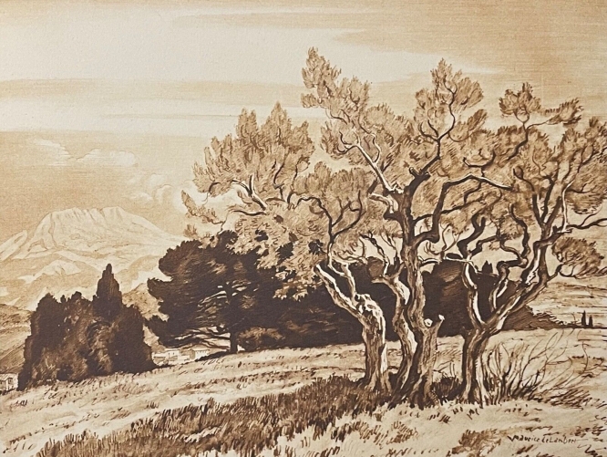 tholonet_montagne_sainte-victoire_et_oliviers_priovence_vers_1942_france