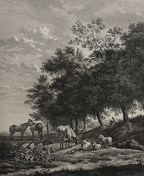 karel_dujardin_1626-1678_le_paturage_graveur_daudet_tirage_vers_1860_cheval