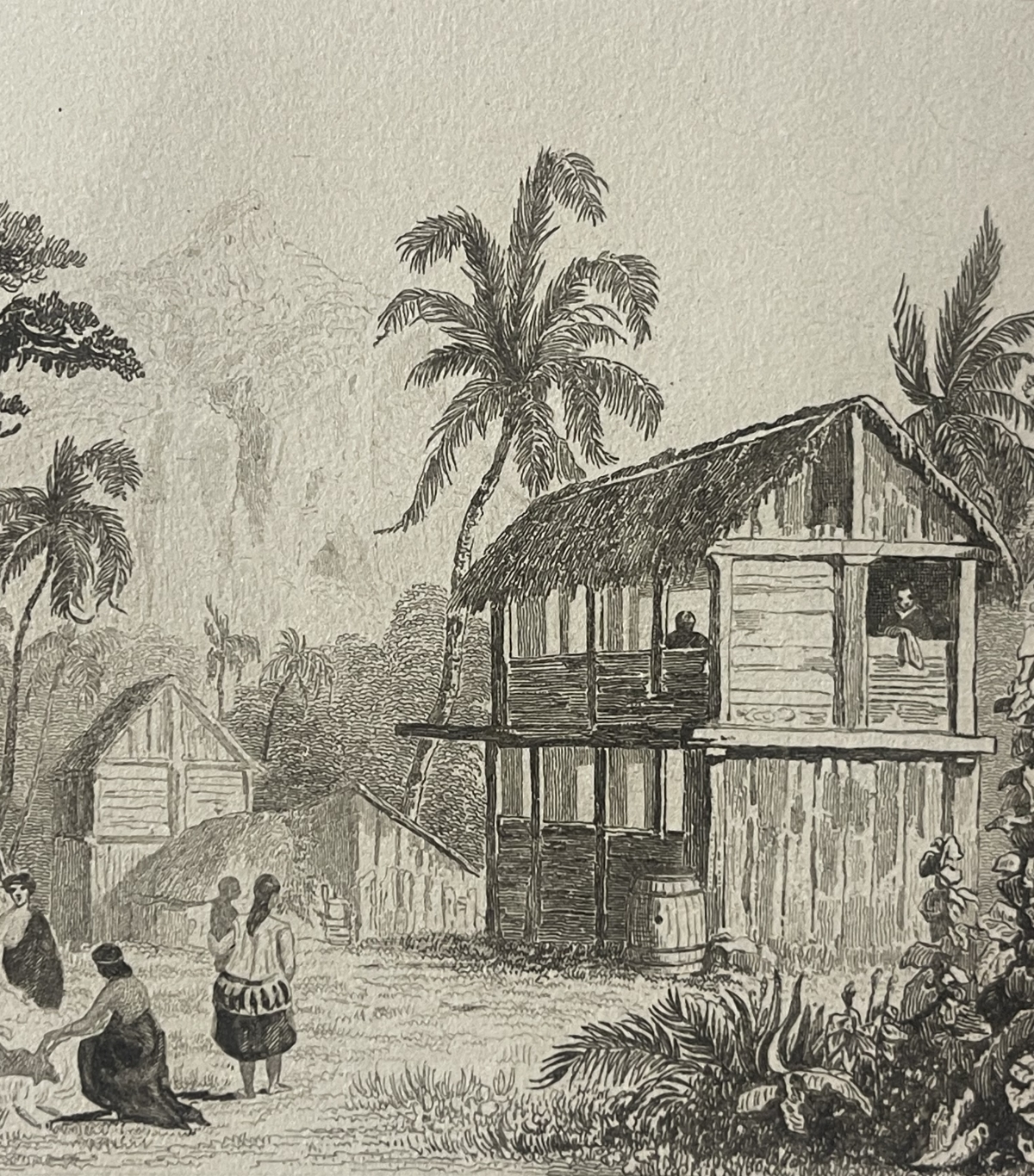 pitcairn_island_1838_wooden_houses_and_palm_trees_pacific_engraving