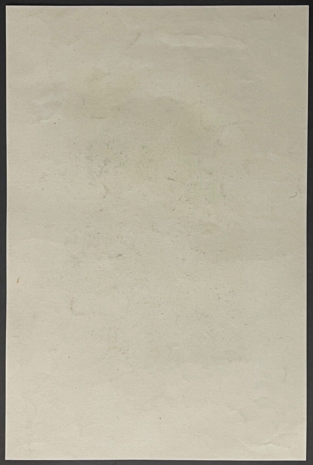 napoleon_bonaparte_au_pont_d_arcole_1796_italie_gravure_vers_1860_france