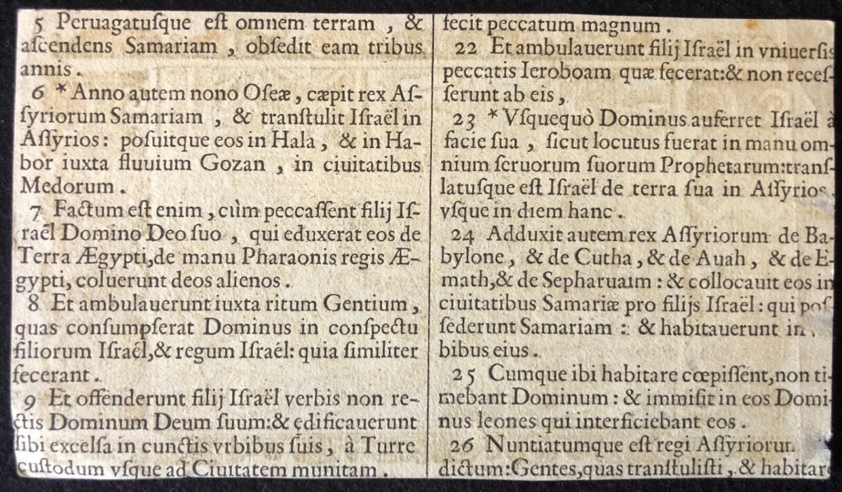 lions_martyrs_chretiens_gravure_sur_papier_xviie_anonyme_xylographie_lion