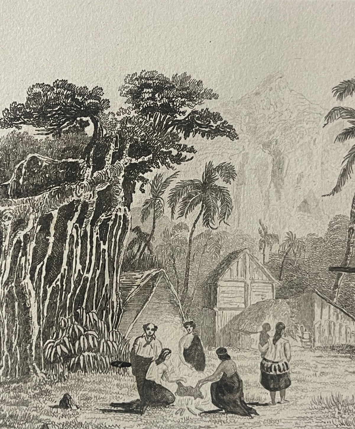 pitcairn_island_1838_wooden_houses_and_palm_trees_pacific_engraving