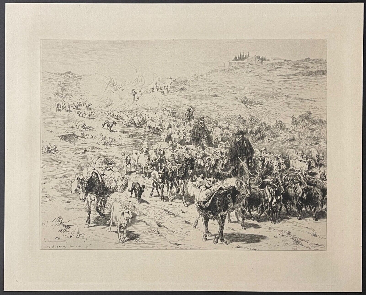 la_descente_des_troupeaux_provence_xixe_pointe_seche_burnand_1884_france