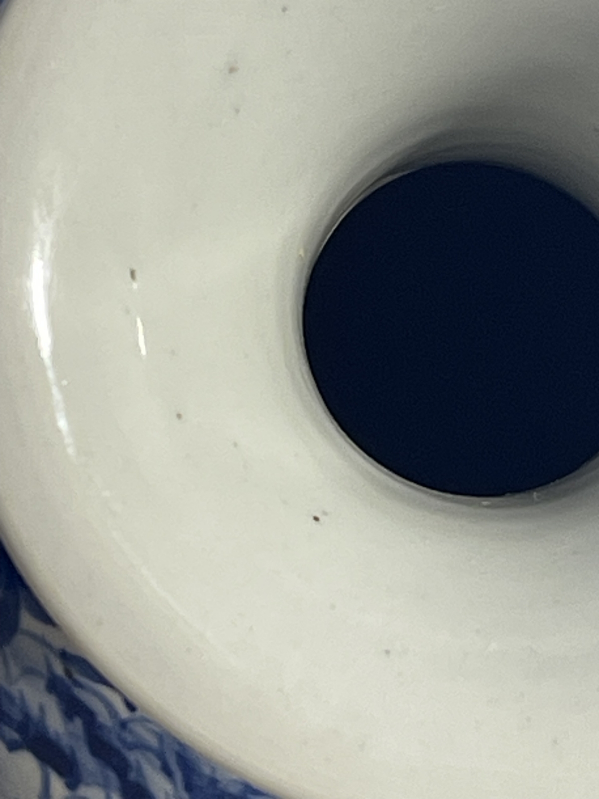 blue_and_white_porcelain_vase_chinese_19th_century_china_chine