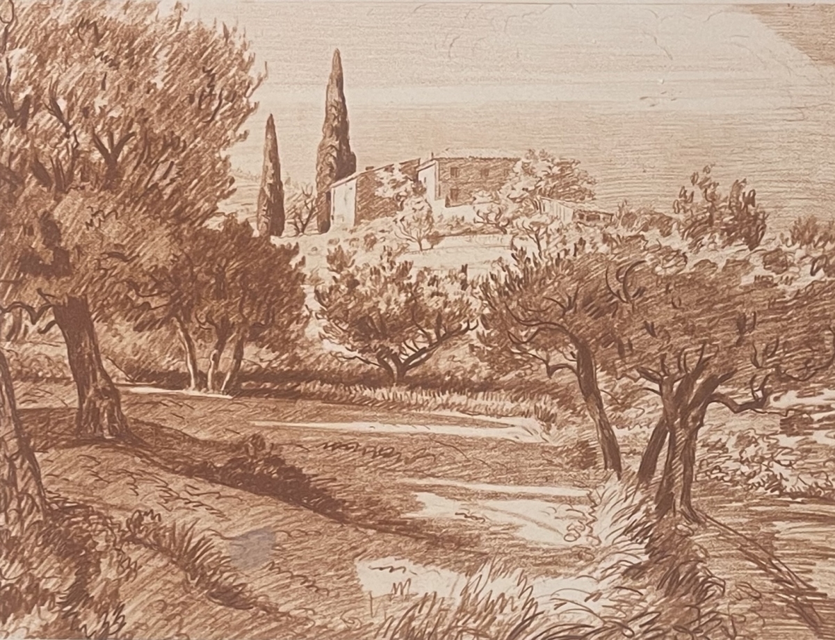 champ_oliviers_en_provence_vers_1942_france_olivier_olive_huile_gravure