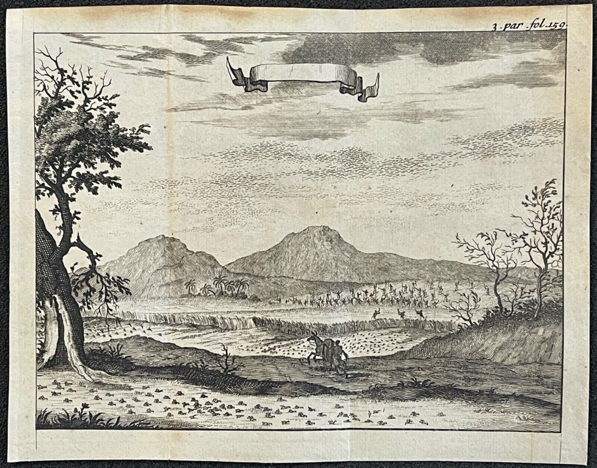 mexique_invasion_de_sauterelles_amerique_1695_par_aveline_1756-1622_sauterelle