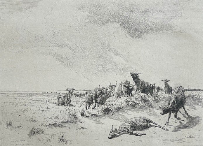 camargue_la_genisse_morte_provence_pointe_seche_burnand_1884_france_vache