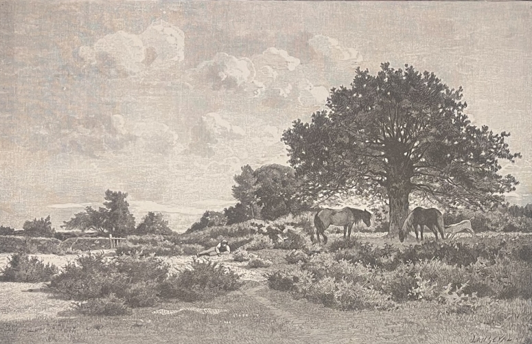 lande_de_sainte-anne_xylographie_dapres_camille_bernier_1823_-_1902_vers_1870